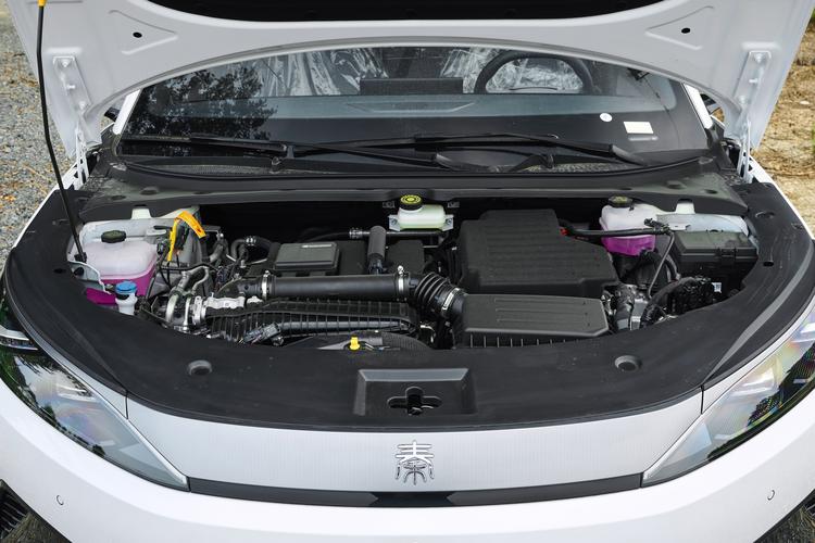 BYD Qin MAX DM - фото 15