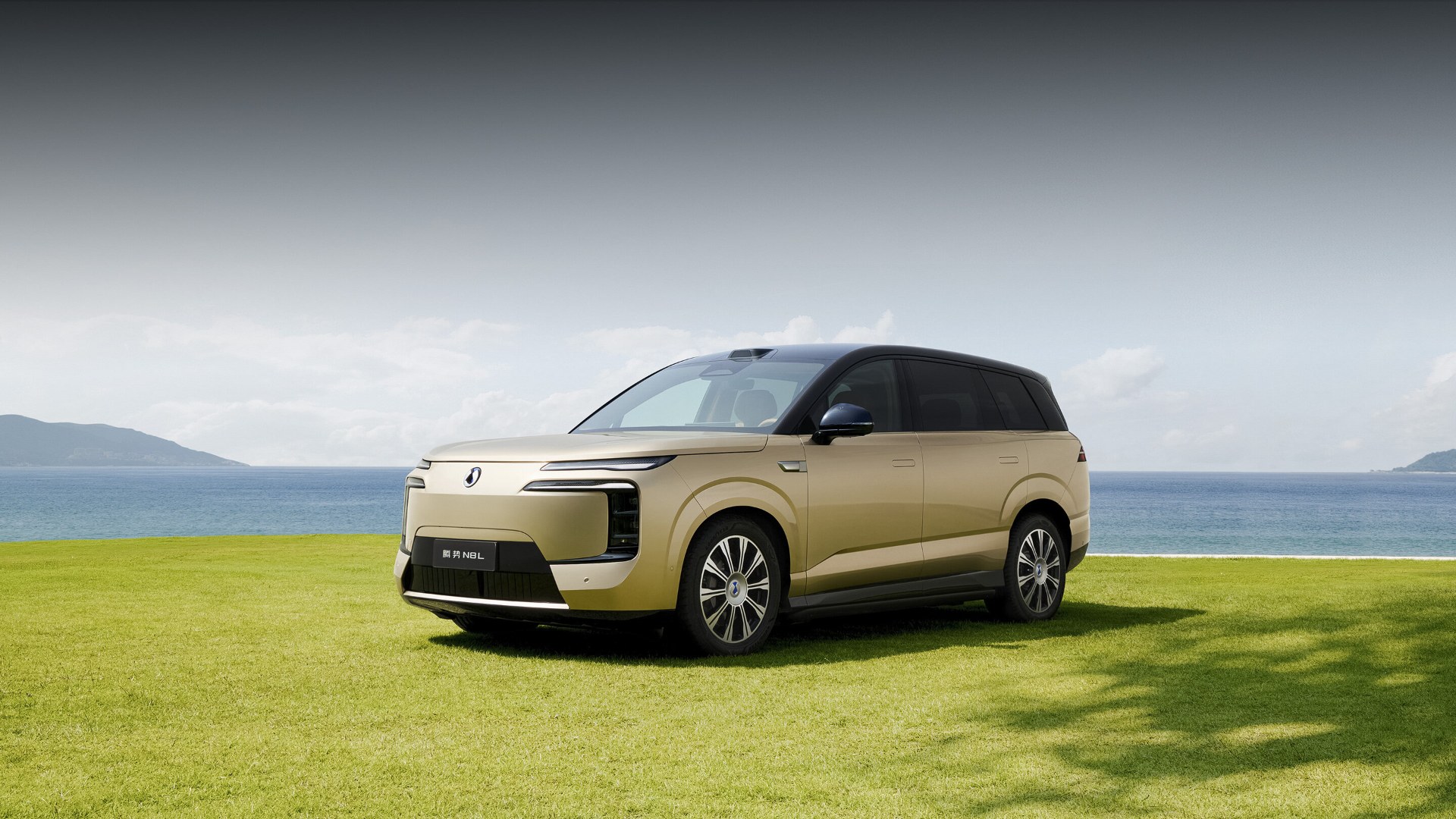 Denza N8L EV — великий шестимісний електричний кросовер
