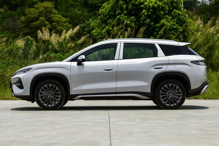 BYD Song Ultra DM - фото 4