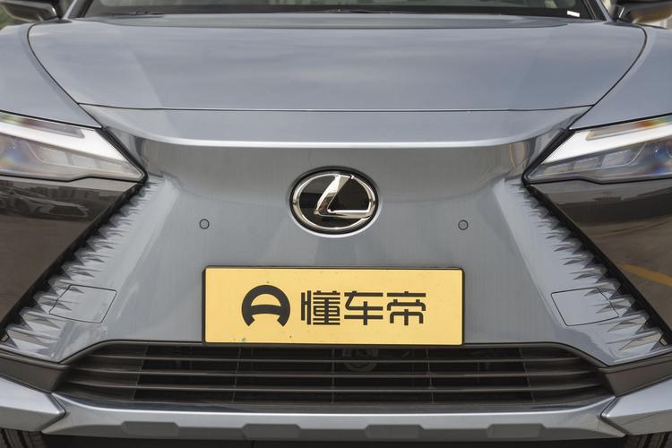 Lexus RZ - фото 10