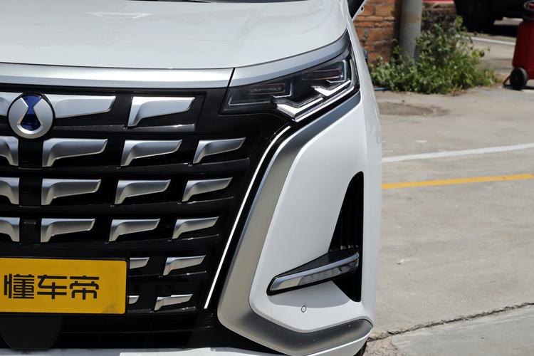 Denza D9 EV - фото 12
