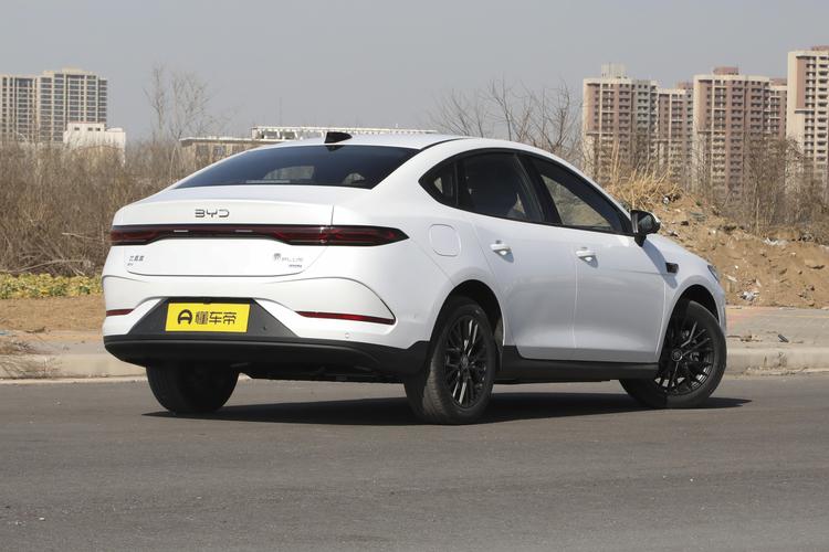 BYD Qin PLUS EV - фото 7