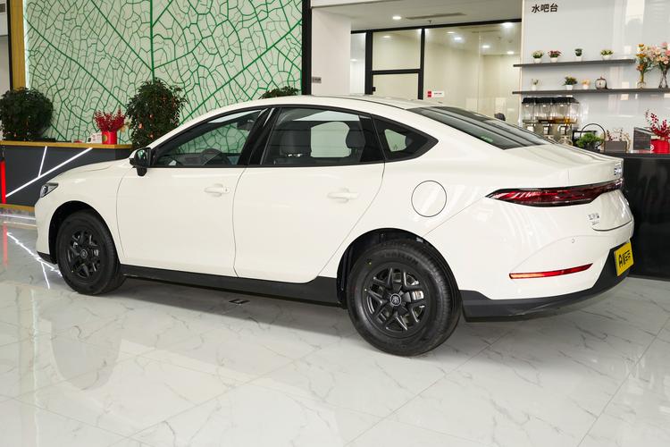 BYD Qin PLUS DM - фото 4