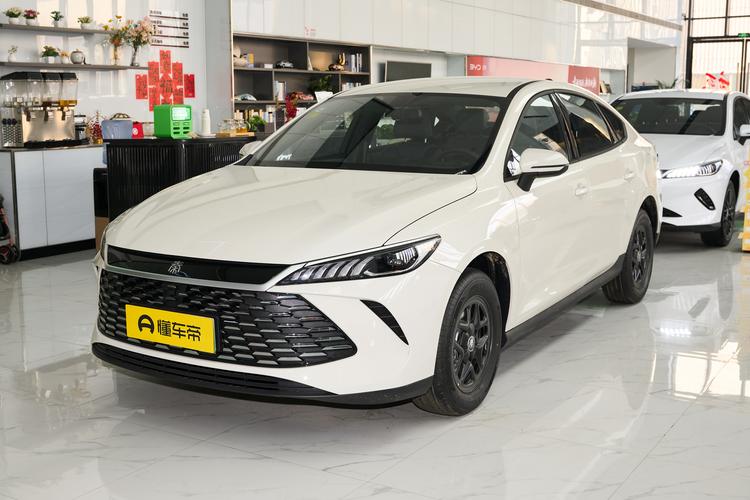 BYD Qin PLUS DM - фото 1