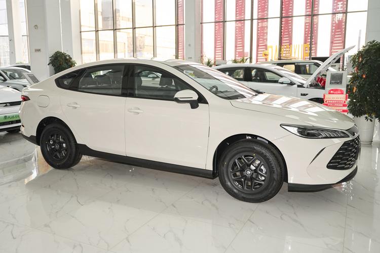 BYD Qin PLUS DM - фото 8