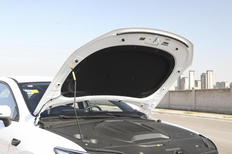 BYD Qin PLUS EV - фото 15