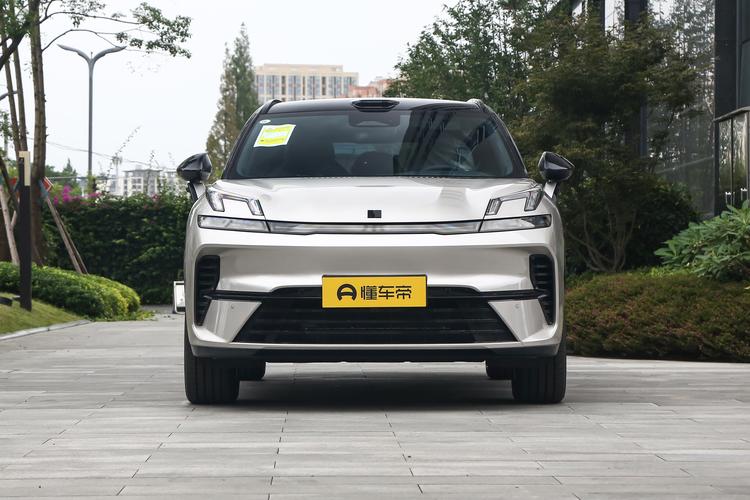 Lynk 08 EM-P - фото 2