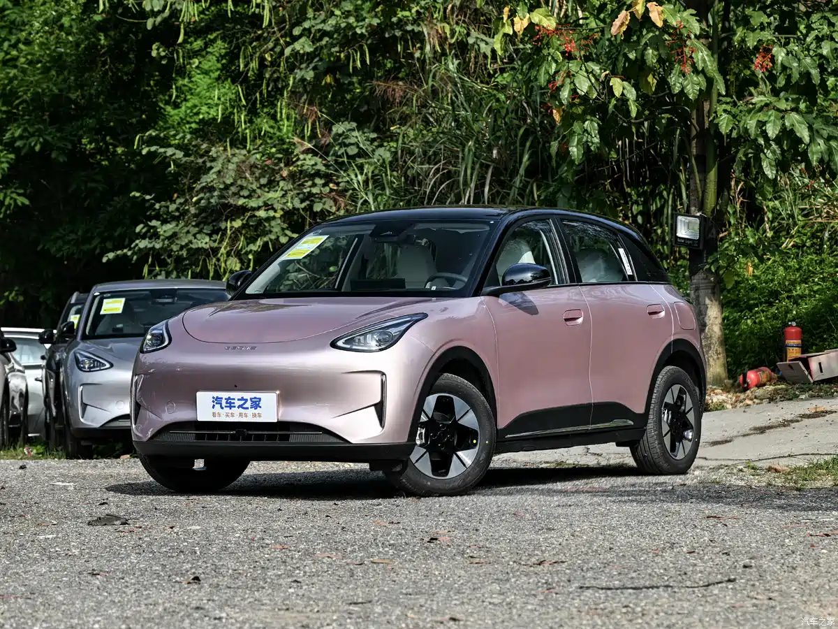 1. Geely Xingyuan — 310 391